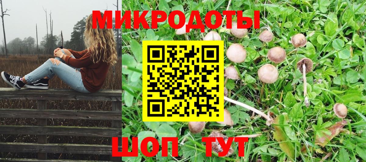 Галлюциногенные грибы Psilocybine cubensis  Вход с VPN  Зима 
